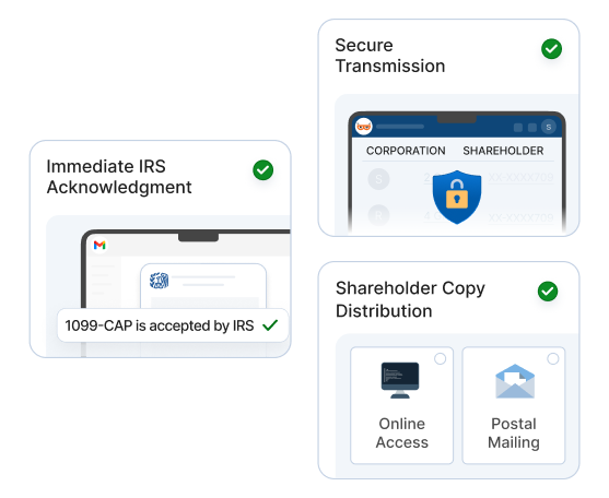 E-file with the IRS & distribute shareholder copies