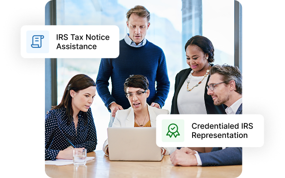 Expert Guidance for IRS Notices & Representation