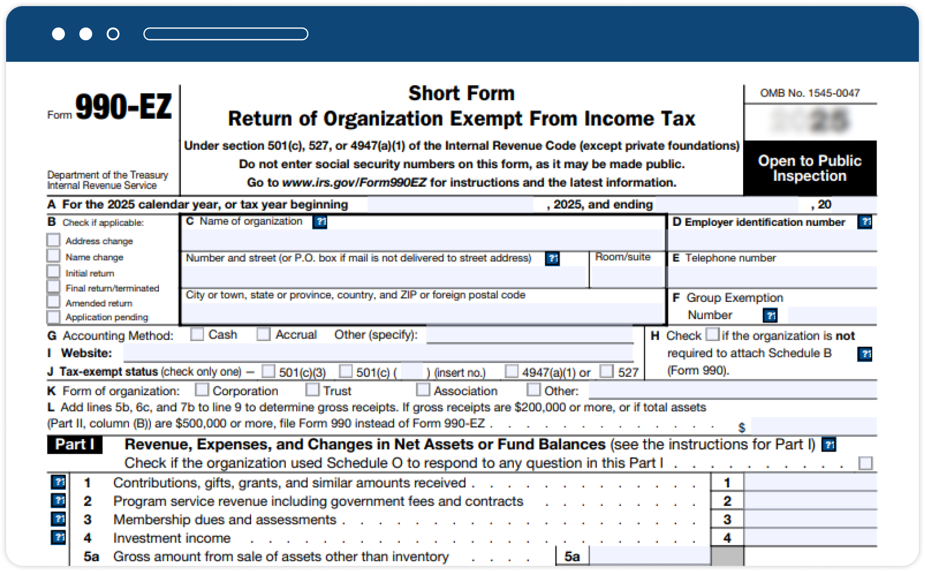 Form 990-EZ—An Overview